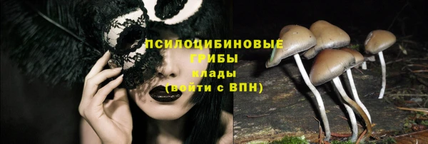твердый Надым