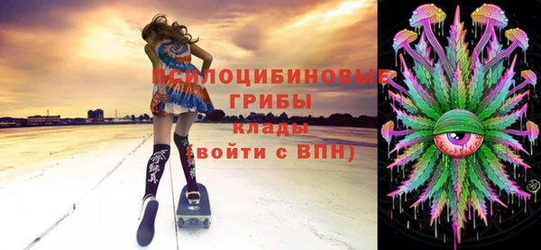 твердый Надым