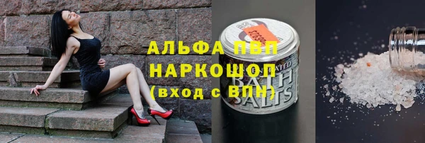 твердый Надым