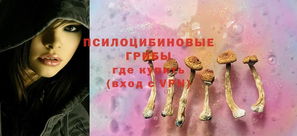 твердый Надым